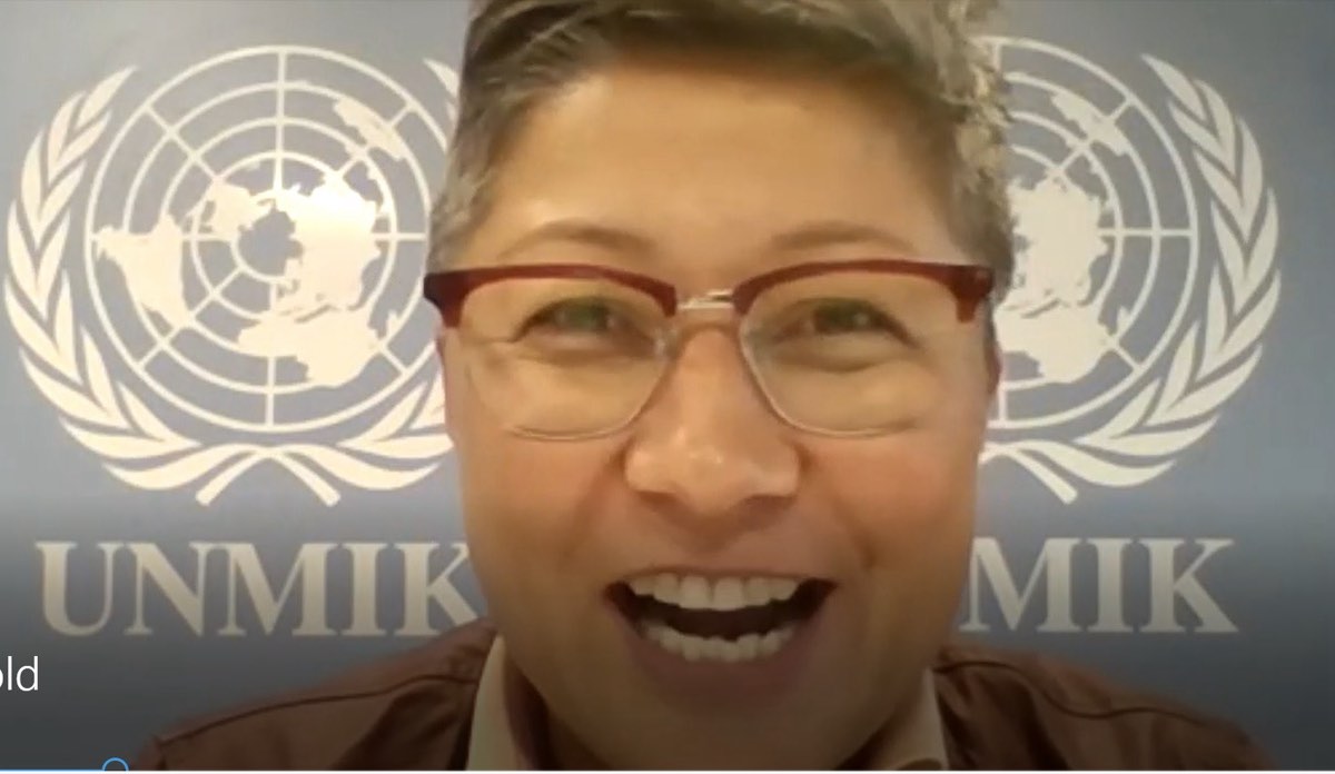 A guest speaker joining the class by video call, in front of a United Nations Mission in Kosovo backdrop